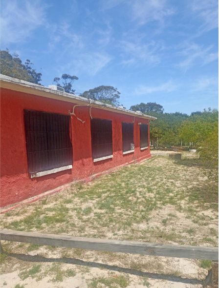 Cabañas AFJU